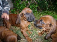 /album/fotogalerie/a013-jpg/