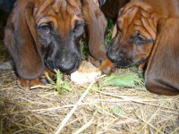 /album/fotogalerie/a014-jpg/