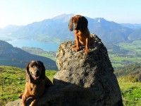 /album/fotogalerie/a302597-275648795810404-1240297731-n-jpg/