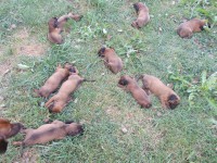 /album/fotogalerie/a526310-569923209716293-526567076-n-jpg/