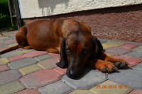 /album/fotogalerie/a944509-558356780872936-306775921-n-jpg/