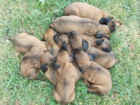 /album/fotogalerie/a1002516-569923196382961-693339539-n-jpg/