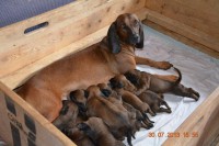 /album/fotogalerie/a1004646-566302443411703-1420231015-n-jpg/