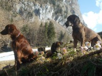 /album/fotogalerie/a1010100-667861476589132-1890524754-n-jpg/