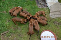 /album/fotogalerie/a1170930-580140095361271-434975698-n-jpg/