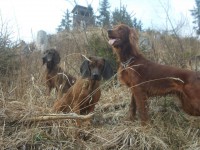 /album/fotogalerie/a1507141-666032250105388-1906213795-n-jpg/