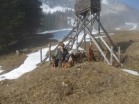 /album/fotogalerie/a1920578-669552479753365-1584276710-n-jpg/