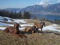 /album/fotogalerie/a1959574-667860639922549-2036557957-n-jpg/