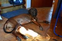 /album/fotogalerie/dsc-0748-jpg/