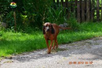 /album/fotogalerie/dsc-0750-jpg/