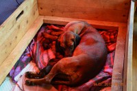 /album/fotogalerie/dsc-0756-jpg/