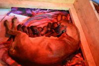 /album/fotogalerie/dsc-0757-jpg/