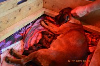 /album/fotogalerie/dsc-0758-jpg/