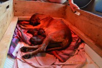 /album/fotogalerie/dsc-0759-jpg/