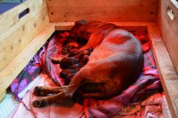 /album/fotogalerie/dsc-0760-jpg/