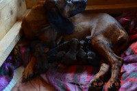 /album/fotogalerie/dsc-0761-jpg/