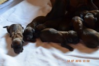 /album/fotogalerie/dsc-0766-jpg/