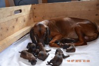 /album/fotogalerie/dsc-0767-jpg/