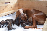 /album/fotogalerie/dsc-0768-jpg/