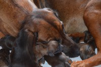 /album/fotogalerie/dsc-0769-jpg/