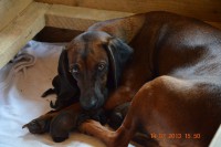 /album/fotogalerie/dsc-0770-jpg/