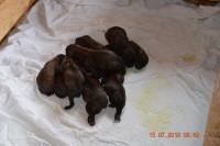 /album/fotogalerie/dsc-0773-jpg/