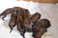 /album/fotogalerie/dsc-0774-jpg/