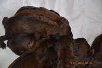 /album/fotogalerie/dsc-0775-jpg/