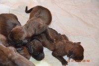 /album/fotogalerie/dsc-0776-jpg/