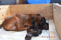 /album/fotogalerie/dsc-0777-jpg/