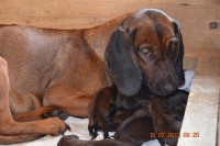 /album/fotogalerie/dsc-0778-jpg/