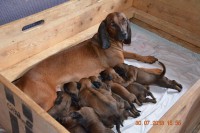 /album/fotogalerie/dsc-0782-jpg/