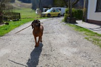 /album/fotogalerie/dsc-1184-jpg/