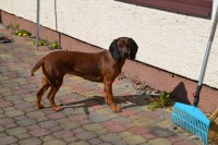 /album/fotogalerie/dsc-1187-jpg/